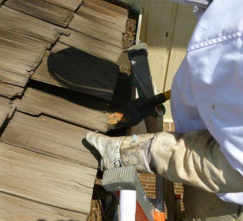 Çatı örtüsünün altından bakın ne çıktı - Resim: 1