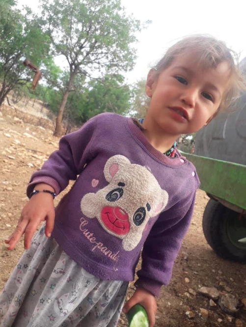 Mersin'de 3 yaşındaki Yörük kızı Müslüme'nin izine rastlandı! Yeni gelişme - Resim: 0