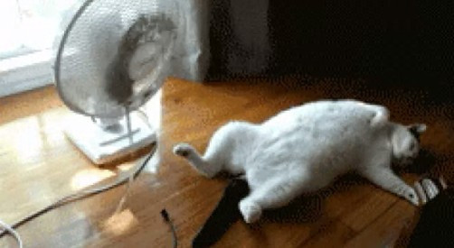 Yazlığınız olsa başınıza gelecek kaçınılmaz şeyler - Resim: 4