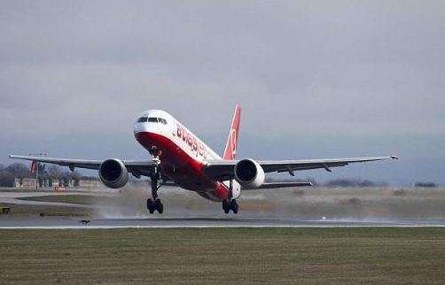 Tilki uçak pistine girerse... - Resim: 3