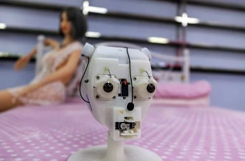 Fabrikadan yatak odasına cinsel ilişki robotlarının ürkütücü serüveni - Resim: 2