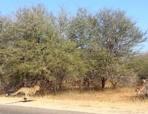Adeta uçarak geldiler o an beklenmedik bir şey oldu - Resim: 4