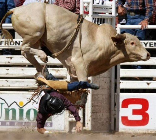Bu anı görenler kameralarına sarıldı daha sonra da... - Resim: 1