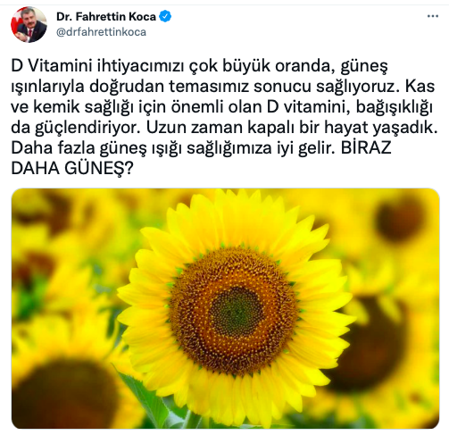 Sağlık Bakanı Fahrettin Koca'dan vitamin tavsiyesi! Bağışıklığı güçlendiriyor - Resim: 0