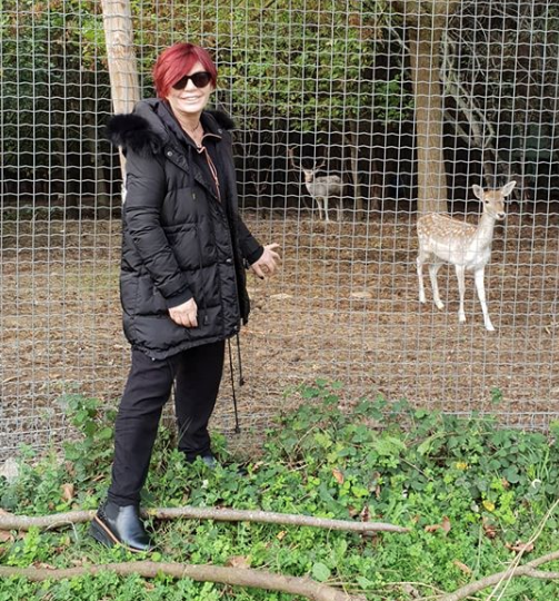 Olay papağan yorumundan sonra linç yiyen Müftüoğlu'ndan kızdıran savunma - Resim: 3