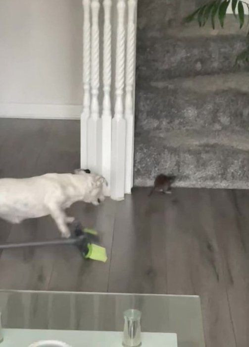 Kanepeden çıkanı görünce korkudan 2 ay erken doğum yaptı! "Tuvalete gidince kanı fark ettim..." - Resim: 4