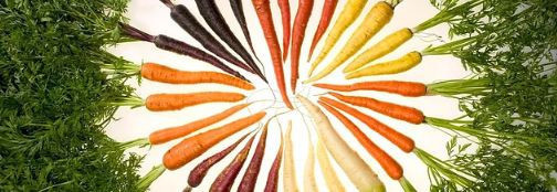 Balinanın içine girip cinsel ilişkiye girince çok fena yakalandılar - Resim: 4