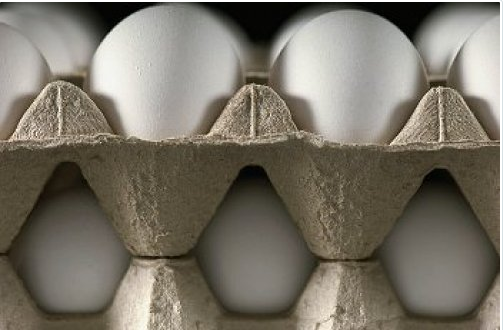 İşte dünyanın en pis 10 mesleği - Resim: 2