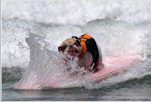 Günün en çok paylaşılan fotoğrafları - Resim: 1
