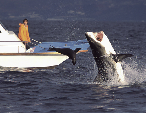 Ölüm makinesi bir anda ortaya çıkınca... - Resim: 3