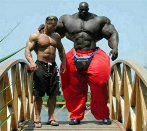 Günün komik fotoğrafları - Resim: 1