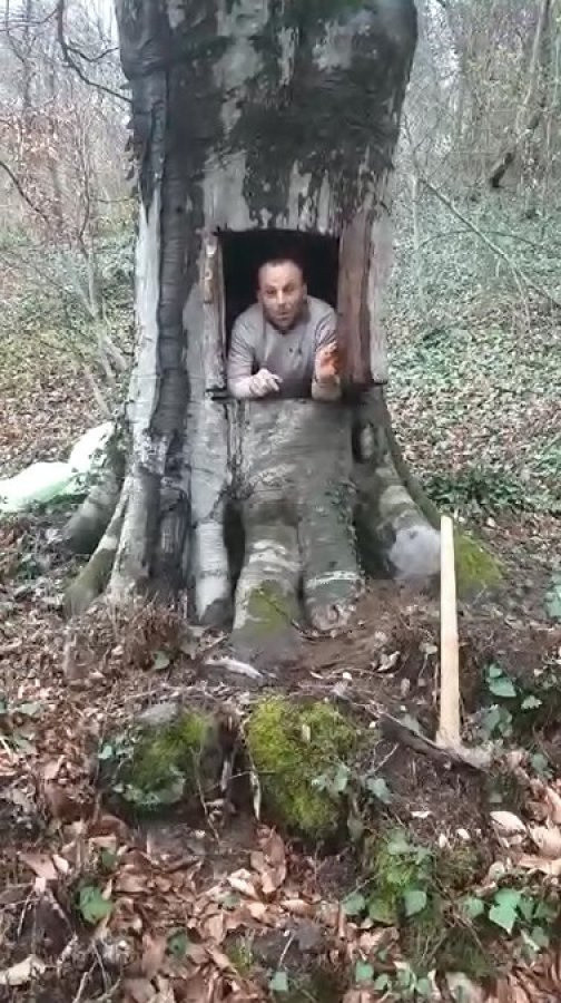 Samsun'daki şahıs koronavirüsten korunmak için 400 yıllık ağacı oydu - Resim: 0