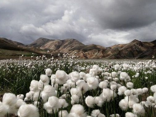İşte 2011 yılının en iyi fotoğrafları - Resim: 4