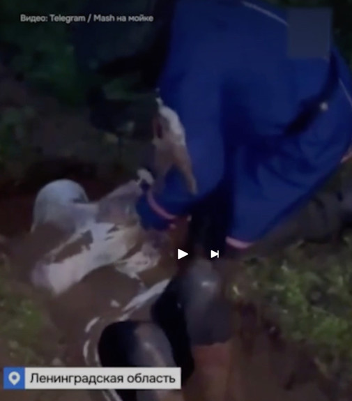 Akılalmaz olay! İki kişiyi diri diri toprağa gömmüşler, satanist ayinini polis bastı - Resim: 0