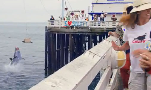 İnternette her gördüğünüze inanmayın - Resim: 4