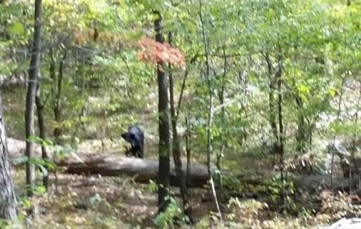 Bu sıradan fotoğrafın 1 saniye sonrası kan donduruyor - Resim: 3