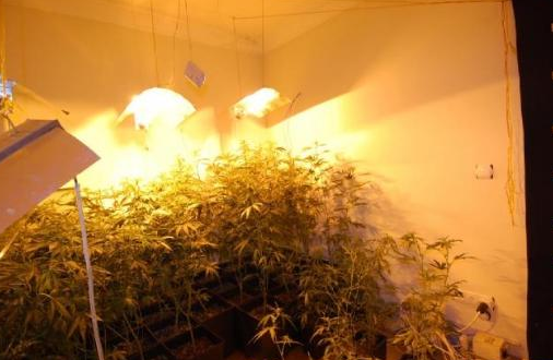 Ünlü yönetmeni bu ev yaktı - Resim: 4