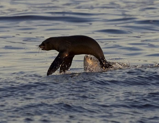 Ölüm makinesi bir anda ortaya çıkınca... - Resim: 4