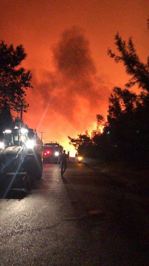 Balıkesir Ayvalık'ta orman yangını! Şeytan Sofrası'nda başladı - Resim: 4
