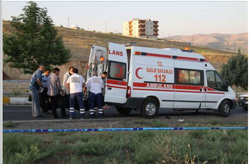 Panzerle otomobil çarpıştı! - Resim: 4