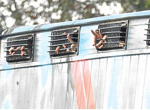 2011'e damga vuran davalar - Resim: 4