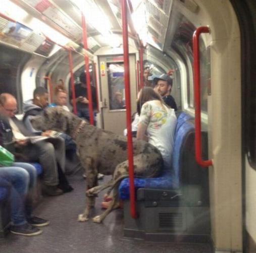 İnternette en çok bakılan fotoğraflar - Resim: 3