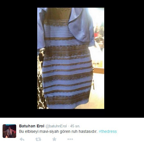 Dünyayı çıldırtan elbise! - Resim: 2