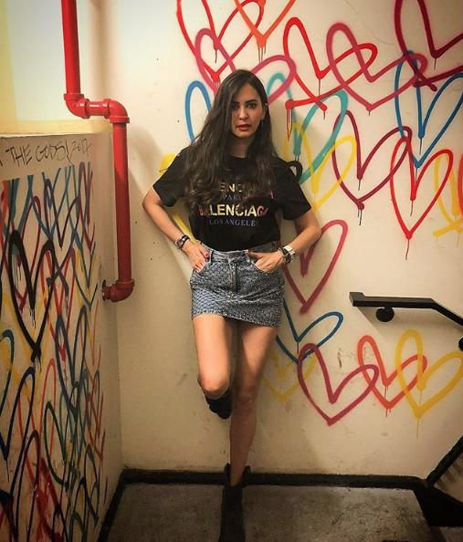 Ceylan Çapa 'baba parası yiyorsun' diyen takipçisine fena patladı! - Resim: 3