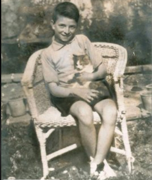 Batmayan Güneş : 'Zeki Müren' - Resim: 3