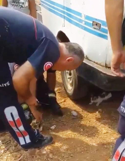 Antalya'da ipe dolanan yavru kediyi itfaiye kurtardı! - Resim: 0