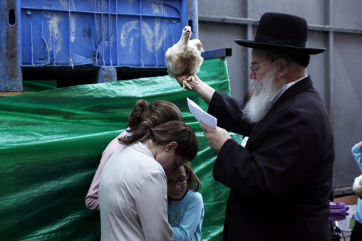 Bütün günahı tavuklar çekiyor - Resim: 4