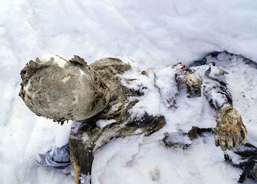 55 yıl sonra bulunan cesetler - Resim: 3