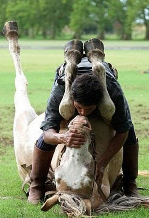 Dünya 'Atlara fısıldayan adam'ı konuşuyor - Resim: 4