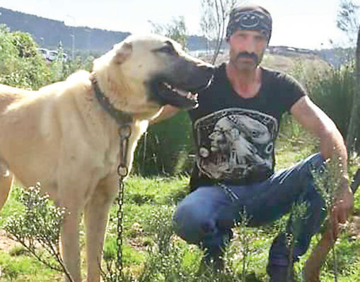 İstanbul'da dehşet çiftliği! Yurttan kaçan kızları cinsel... - Resim: 3