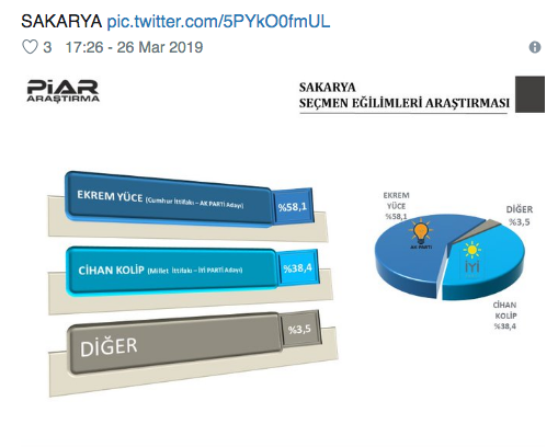 Piar anketi gündemde seçim sonucu en çok merak edilen iller var - Resim: 4