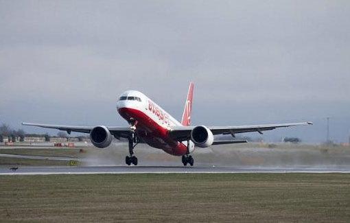 Tilki uçak pistine girerse... - Resim: 2