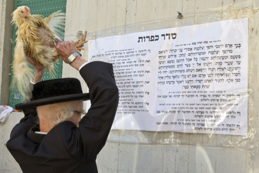 Bütün günahı tavuklar çekiyor - Resim: 3