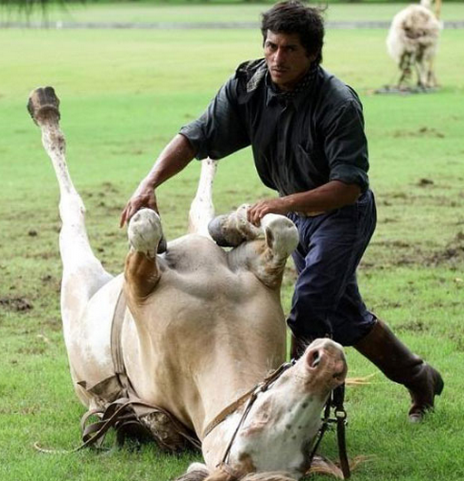 Dünya 'Atlara fısıldayan adam'ı konuşuyor - Resim: 3