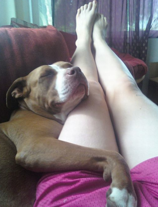 Yok artık daha da neler! - Resim: 2