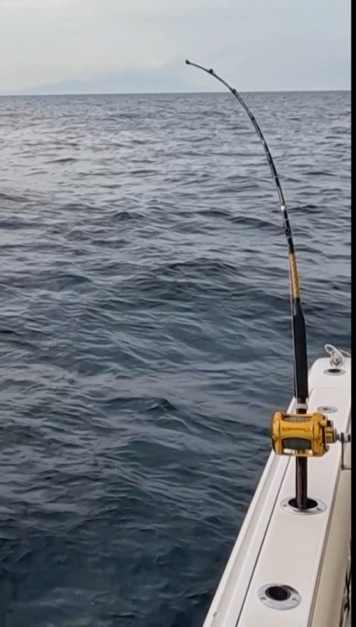 İzmir’de oltaya takılan orkinos 100 bin liralık oltayı götürdü - Resim: 0