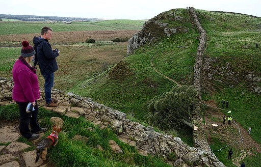 Robin Hood filmiyle ünlenmişti! 16 yaşındaki çocuk İngiltere'nin simge ağacını kesti - Resim: 1