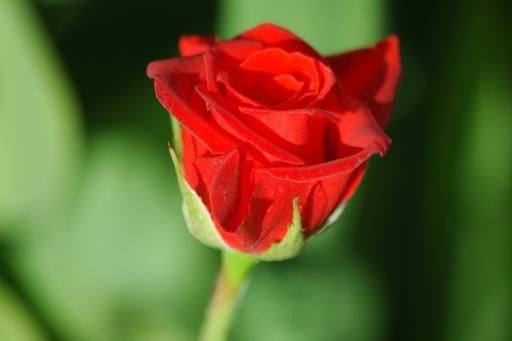 Bu isimleri çocuğunuza vermeyin dinen uygun değil! - Resim: 4