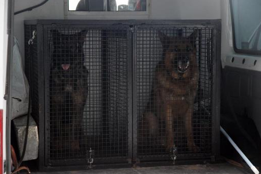 AK Parti dev kongreye hazırlanıyor - Resim: 1