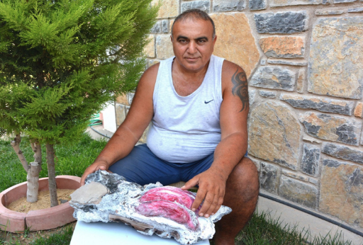 Muğla'da bir kişi denizde yüzerken fosil buldu - Resim: 4