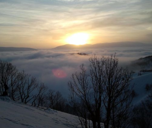 Şenyayla'da PKK operasyonu - Resim: 4