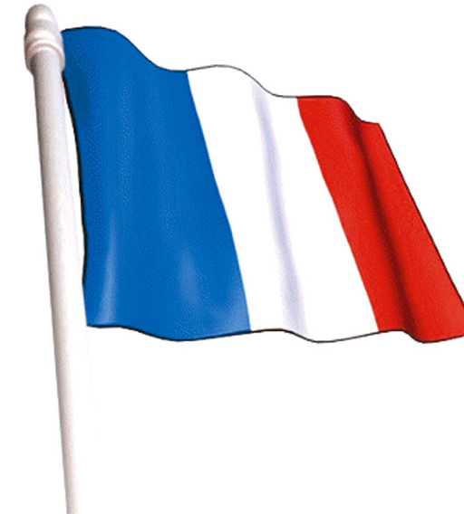 İşte boykot edilen Fransız malları - Resim: 1