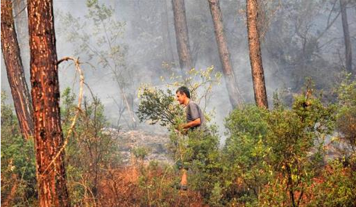 Kumluca alev alev yanıyor - Resim: 3