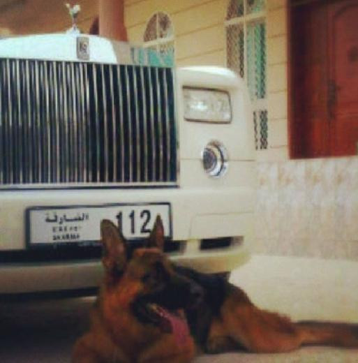 İnstagram'ın dev kedili adamı - Resim: 2