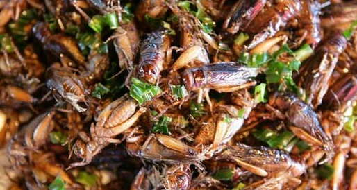 Bu yiyecekler mide bulandırıyor - Resim: 1