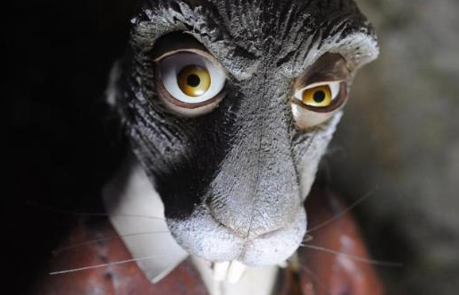 Haftanın unutulmaz fotoğrafları - Resim: 2